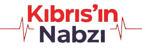 nabyz logo 43ovebg preview